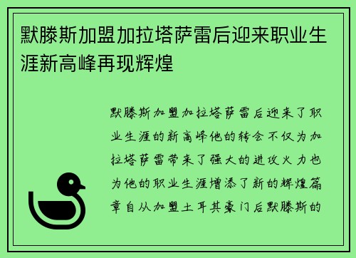 默滕斯加盟加拉塔萨雷后迎来职业生涯新高峰再现辉煌